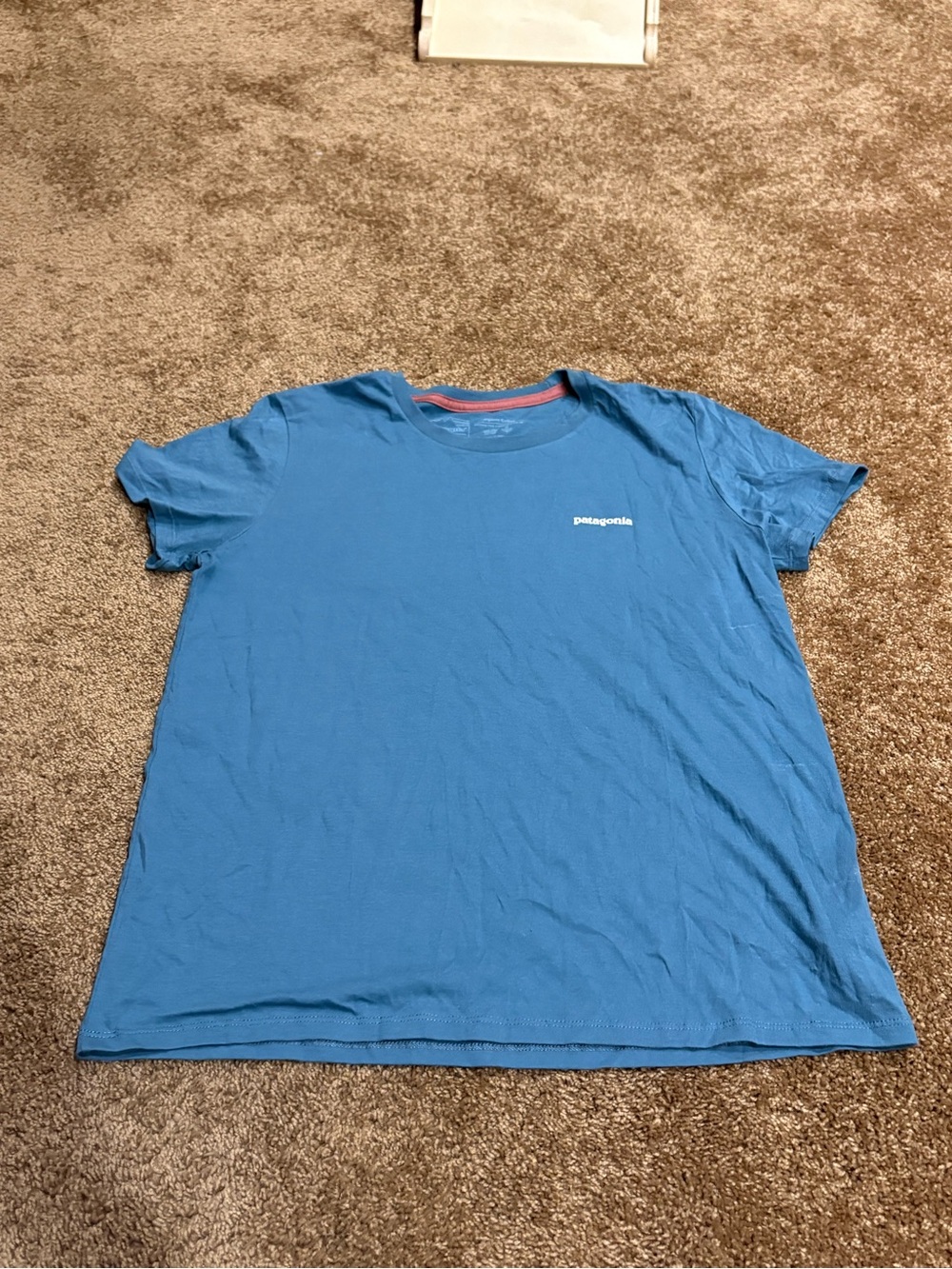 Patagonia Short Sleeve Crew T-Shirt